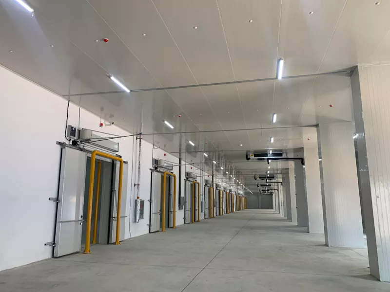Ang bodega ng istraktura ng bakal para sa pagpapalamig